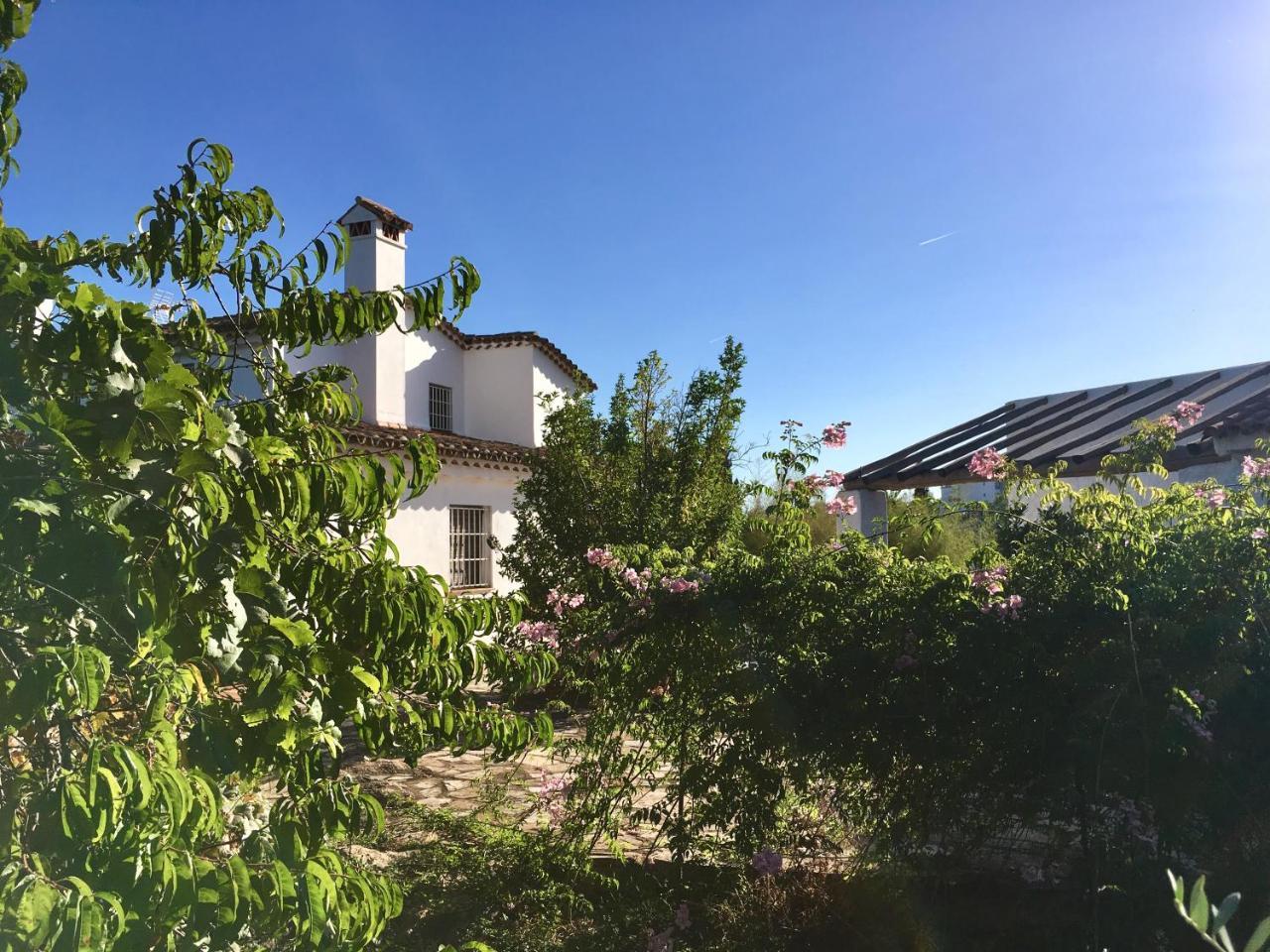 Finca Horno De Cal Aracena Exterior photo